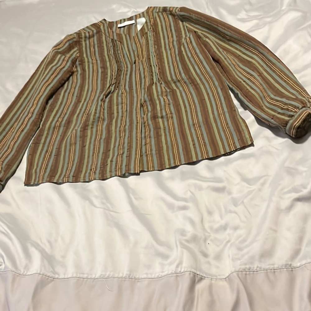 JH Collectibles Earthy Striped Blouse Long Sleeve Size Medium Women